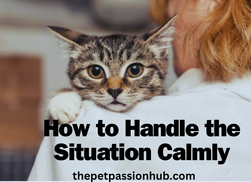 What Happens When You Accidentally Step on a Furry Friend?